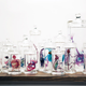 Illustration for article titled These psychedelic animal specimens are unlike anything youve ever seen